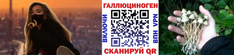 Псилоцибиновые грибы мицелий  блэк спрут ССЫЛКА  Выкса  цены  